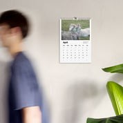 Wrauro Wall calendar (2027)